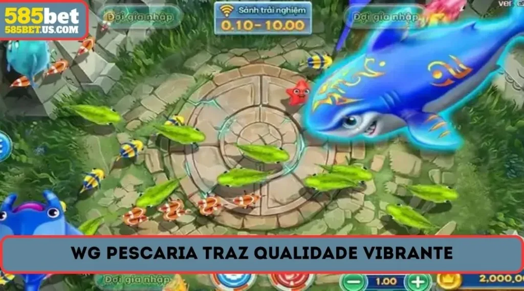 wg pescaria traz qualidade vibrante